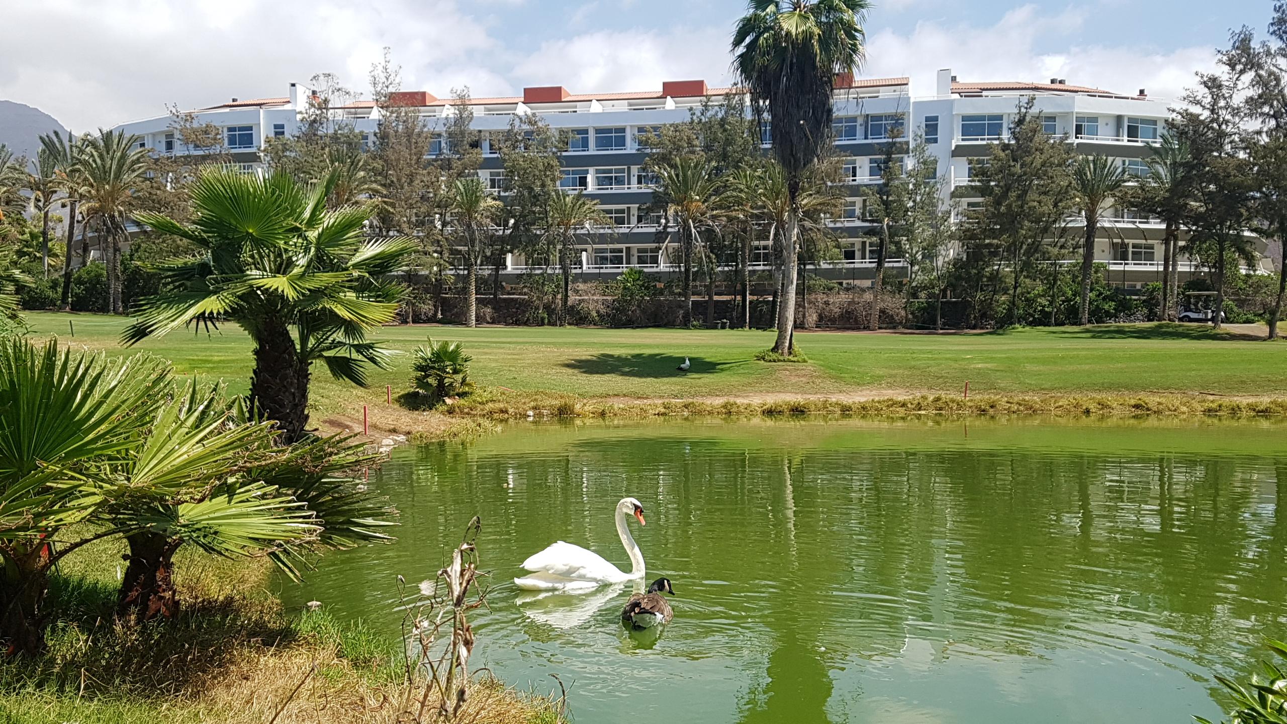 Gara Suites Golf & Spa Playa de las Americas  Exteriér fotografie